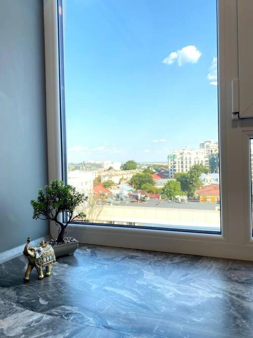 Park Unit ! Puskin Street Apartment *